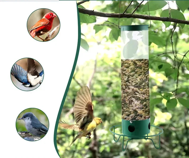 Hanging Bird Feeder with Squirrel Guard Seed Tube Feeder