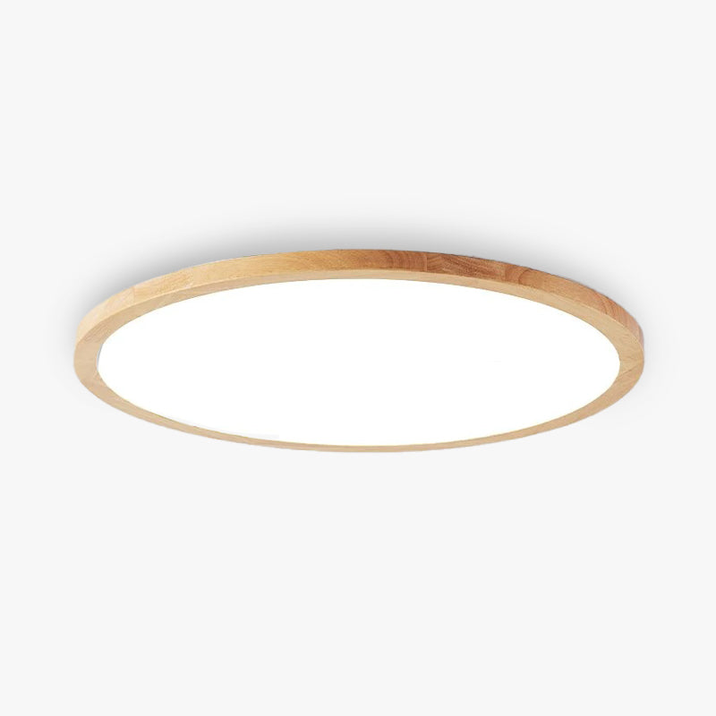 Versatile Minimalist Dimmable LED Ceiling Light for Home