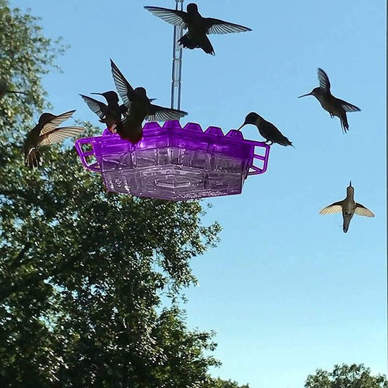 Outdoor Hanging Hummingbird Feeder with Ant Guard Nectar Tray