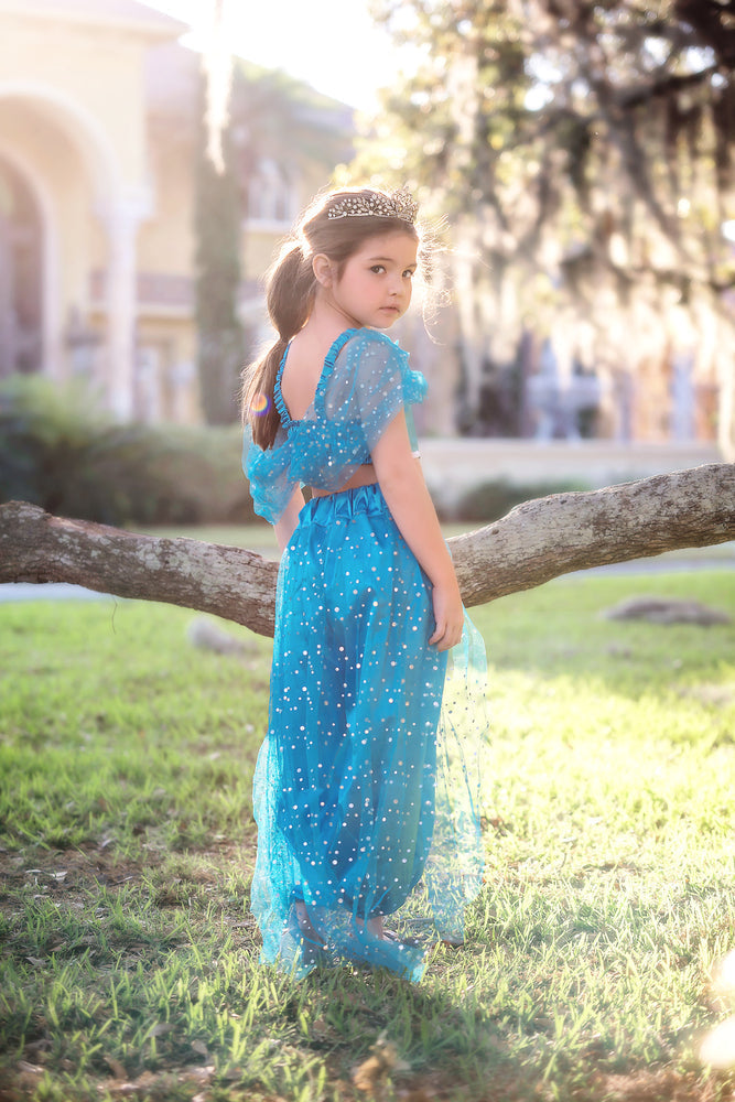 $29.99 DRESS UP SALE GENIE COSTUME BLUE