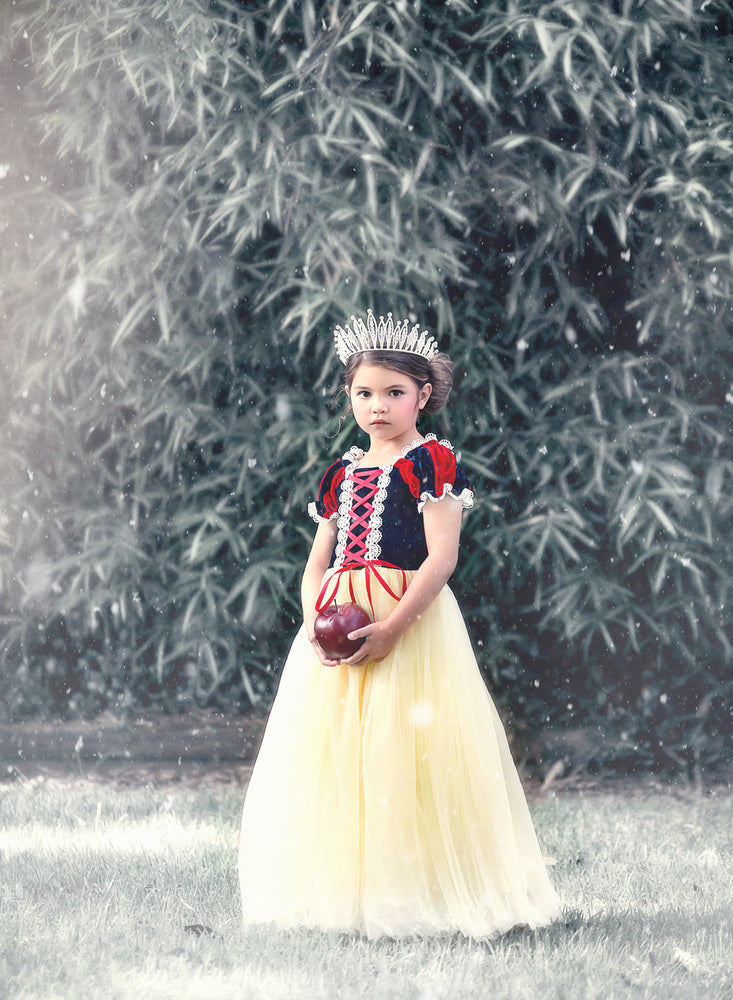 PRINCESS KATE DRESS