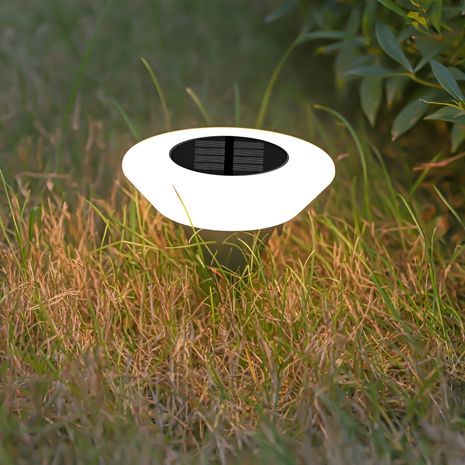Round Solar Powered LED Path Lights for Garden and Walkways