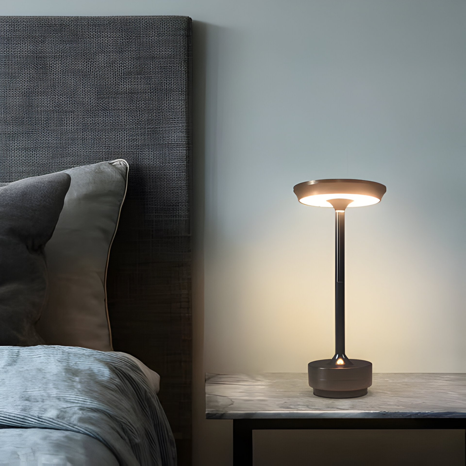 Rechargeable LED Table Lamp with Disc Light Head and Metal Base