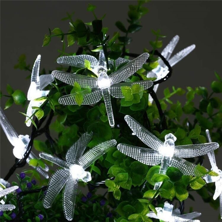 Dragonfly Solar String Lights with Multicolour LED