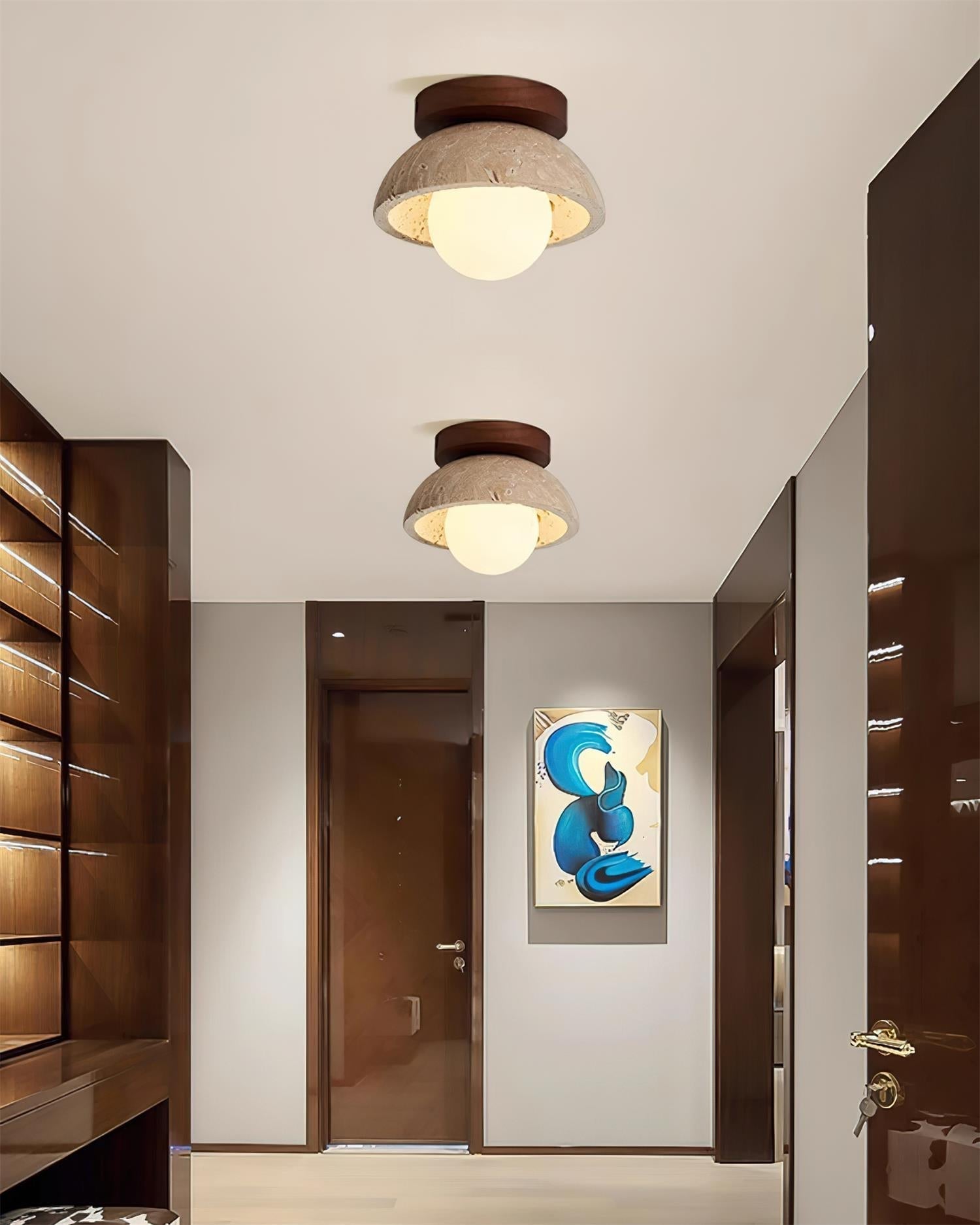 Modern Ceiling Lights for Natural Elegance