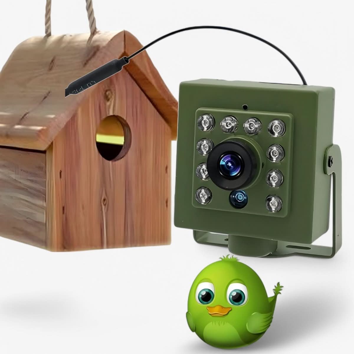 Bird Nest Camera WiFi HD Outdoor Camera with Night Vision